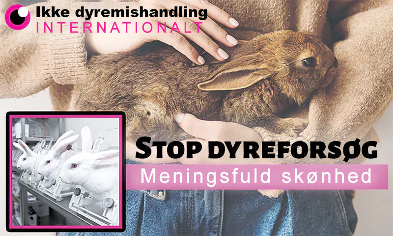 HonningMagien™ Bikemadsmiddel Behandling Creme - Farvel til hudimperfektioner – Hej til glattere, klarere hud!