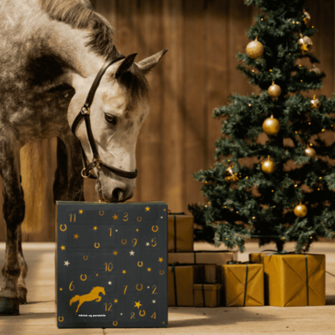 PonyPleasure™– Julens nedtælling for ægte hesteelskere