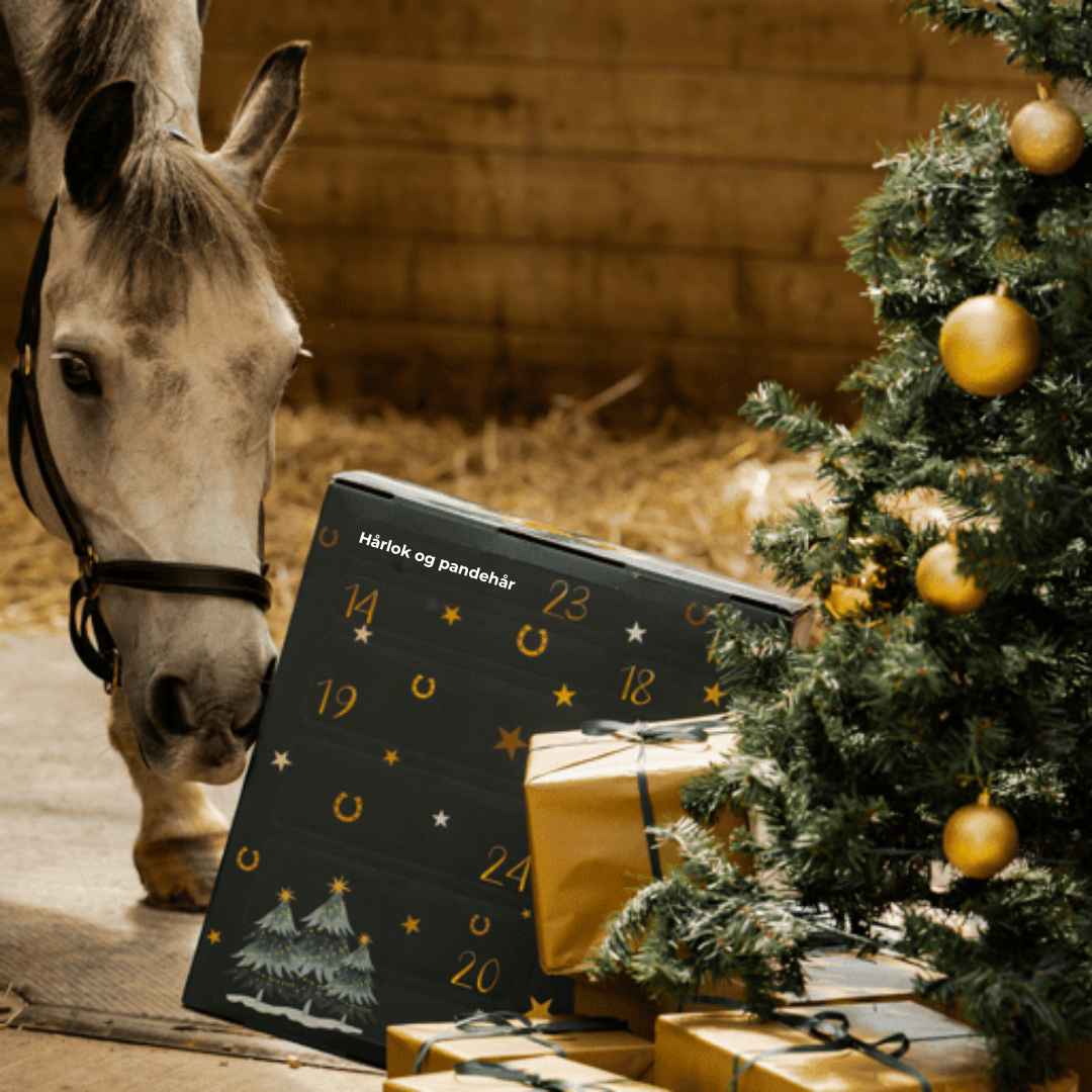 PonyPleasure™– Julens nedtælling for ægte hesteelskere