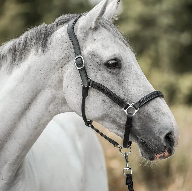 PonyPleasure™– Julens nedtælling for ægte hesteelskere
